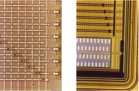Figure 6: The left photo shows the microscopic view of the n-side of a double sidedsensor.