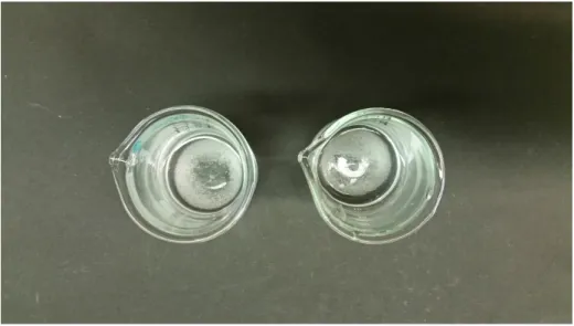 Abbildung 1: Bechergläser nach Zugabe von zwei Spateln Substanz. Links: Kaliumchlorid, rechts: Natriumchlorid.