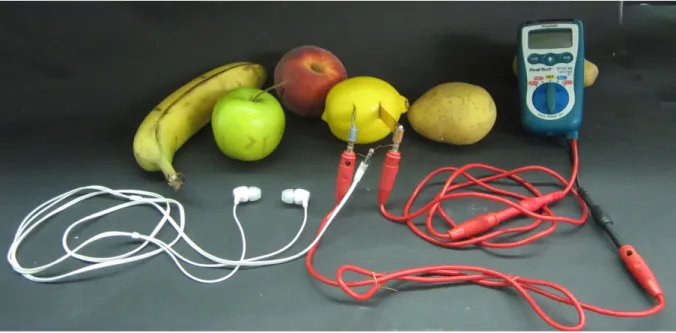 Abbildung 1: Die Spannung einer Bio-Batterie aus verschiedenen Obst-Sorten oder einer Kartoffel kann über Ohrhörer hörbar gemacht werden.