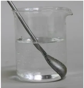 Abbildung 3 Seitensicht auf den Löffel im Wasser befüllten Glas