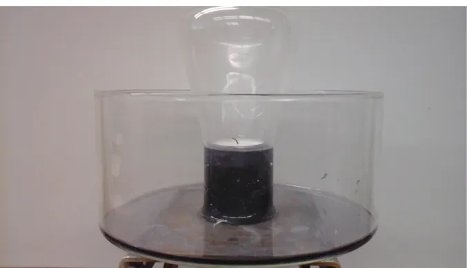 Abb. 3: Kerze unterm Glas mit hochgezogenem Wasser (angefärbt mit Rotkohlsaft).
