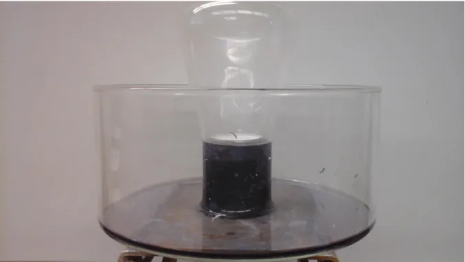 Abb. 3: Kerze unterm Glas mit hochgezogenem Wasser (angefärbt mit Rotkohlsaft). 