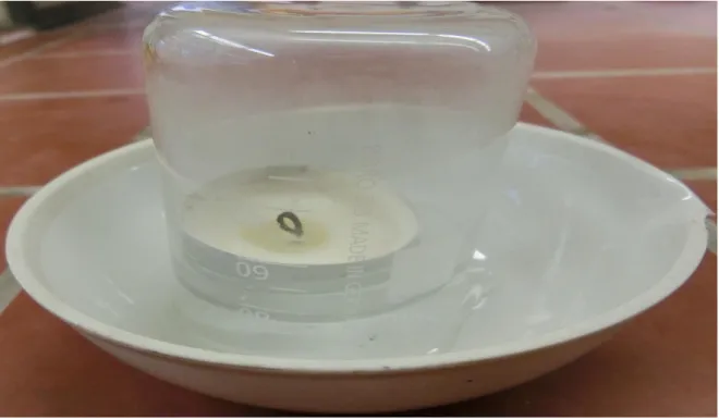 Abb. 5-  Teelicht mit in ein Becherglas gesaugtes Wasser von Versuch 5