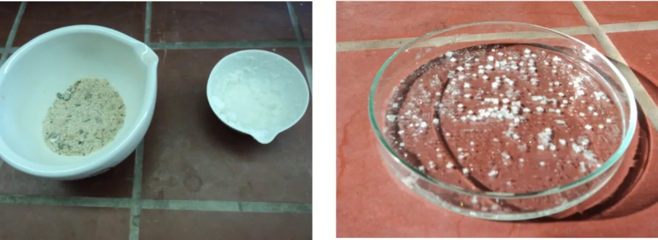 Abb. 5 -  Vom Steinsalz (links) zum Kochsalz (rechts)               Abb. 6 -  Auskristallisiertes Kochsalz