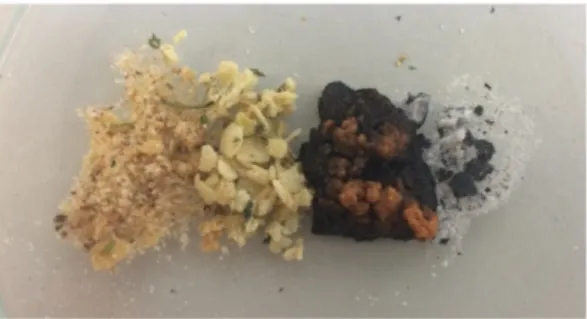 Abbildung   2 (von links nach rechts): Gemüsebrühe, Filterrückstände (Fett, Gemüse,…), brauner Feststoff während des 2