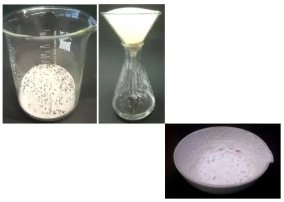 Abb. 1 - (von links nach rechts) Gemenge. Lösung nach dem Filtern. Zurückgebliebenes Salz nach dem Abdampfen des Wassers.