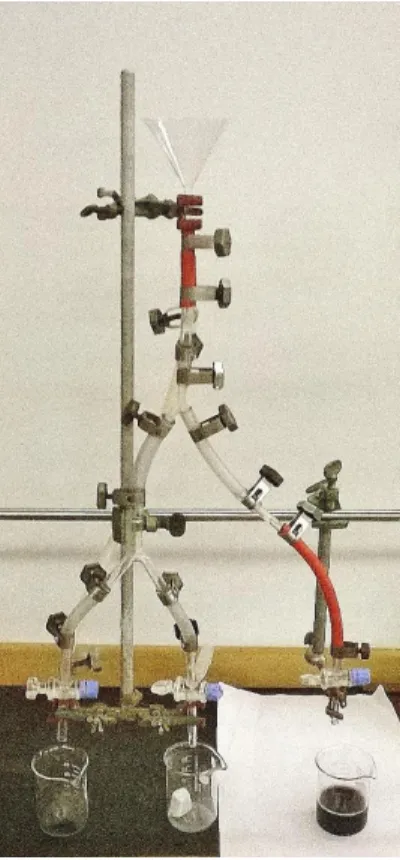 Abb.  2  -    Versuchsaufbau  zum  Lehrerversuch  Auswirkung  von  saurem  Regen.  Bechergläser  mit  Eisenwolle  (links),  Marmor (mittig) und Rotkohlsaft (rechts)