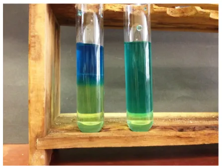 Abb. 1 -  Phasengrenze des Leitungswasser in der Natriumchlorid-Lösung. (links) vs. Durchmisschung der beiden angefärben Leistungswässer (ohne Natriumchloird), (rechts).