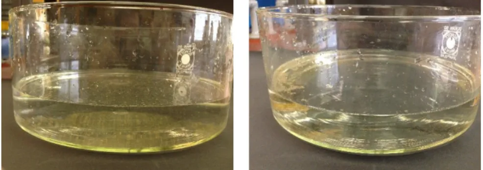 Abb. 3- mit Pfeffer benetzte Wasseroberfläche vor (links) und nach (rechts) Spülmittel- Spülmittel-Lösung Zugabe.
