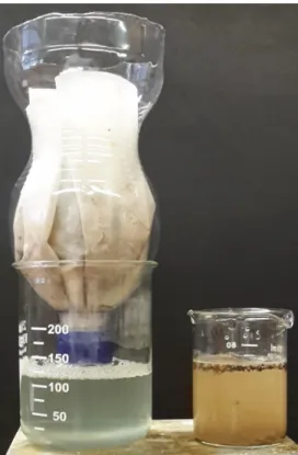 Abbildung  1: Links: Die Kläranlage mit bereits gefiltertem   Wasser.   Rechts:   Becherglas   mit verschmutztem, zu filterndem Wasser.