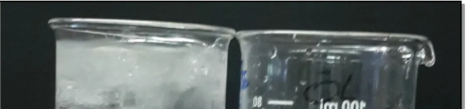 Abbildung 2:Schwimmfähigkeit von Eis in Wasser (links) und Öl (rechts).