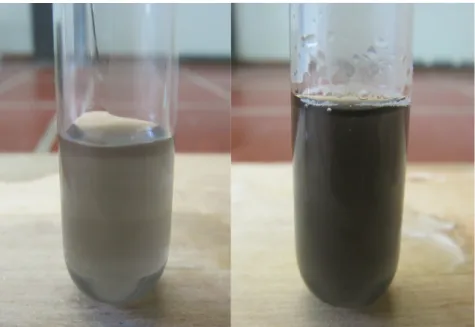 Abb. 2 -  Filtrat des Wasser-Holzkohle-Gemisches (links), Filtrat des Seifenlösung-Holzkohle-Gemisches (rechts)