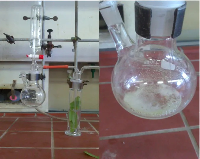 Abb. 1 -  links: Aufbau des Versuches; rechts: Gasentwicklung beim Mischen der  Flüssigkeiten.