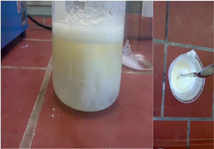 Abb. 5 – links: Die Bindung des Seifenkerns; rechts: Spatel steckt in der gehärteten Seife.