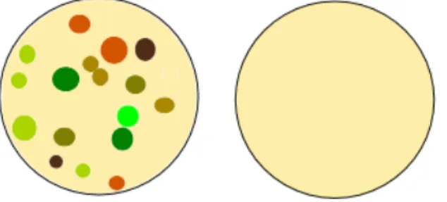 Abb. 6-   links: Bakteriumwachstum ohne Desinfektion. Rechts: Bakteriumwachstum mit Desinfektion