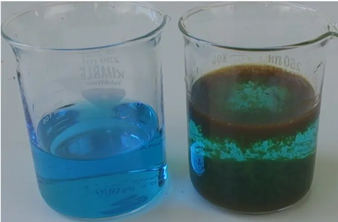 Abbildung  1:   Bildung   des   Niederschlags   bei   der   Methylenblaulösung   nach   Zugabe   von   Eisen(III)- Eisen(III)-chloridlösung