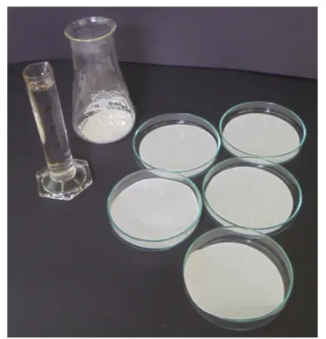 Abbildung 11: Versuchsaufbau für die Herstellung des Ozonpapiers.