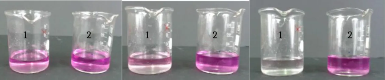 Abb. 12 – Entfärbung der Lösungen im zeitlichen Verlauf. 1. Becherglas mit zusätzlicher Mangan(II)sulfat-Lösung, 2