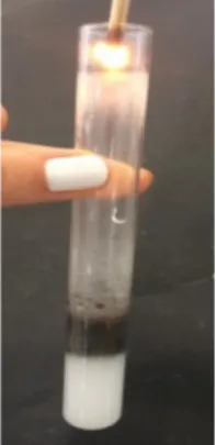 Abbildung 4: Reagenzglas mit Wasserstoffperoxidlösung und Mangandioxid mit positiver Glimmspanprobe.