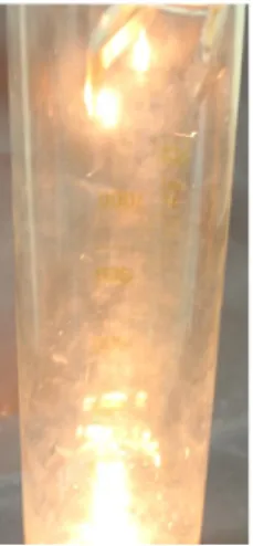 Abb. 1 Glühende Eisenwolle in einem mit Sauerstoff befüllten Standzylinder.