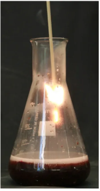 Abb.   1   -     Positive   Glimmspannprobe   bei   der   Reaktion   von   Kaliumpermanganat   und Wasserstoffperoxid.