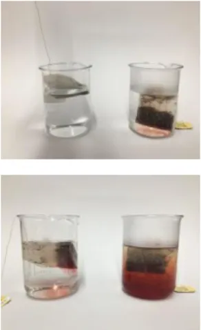 Abbildung  1:  Teebeutel  in  kaltem  (links)  und  warmem  (rechts)   Was-ser kurz nach dem  hinzu-fügen  (oben)  und  nach  einigen  Augenblicken  (unten)