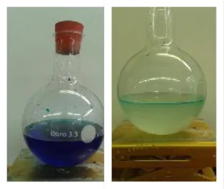 Abb. 1 -  Blue Bottle-Versuch.