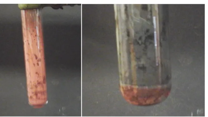 Abb. 4: Kupferoxid und Eisengemisch vor der Reaktion (links) und nach der Reaktion (rechts)