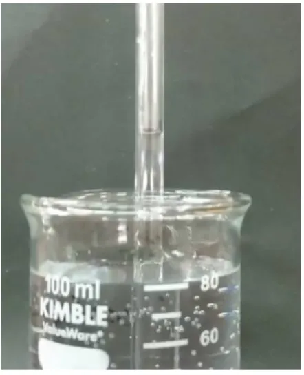 Abbildung 2: Wasser aus dem Becherglas wird durch den durch Sauerstoffverbrauch im Reagenzglas entstehenden Unterdruck im Glasrohr nach oben gezogen.