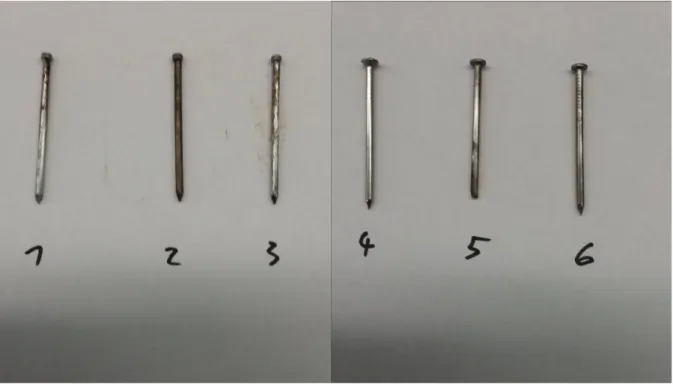 Abbildung 1: Untersuchte Nägel. 1: Zurückgestellter Eisennagel zum Vergleich. 2: Unbehandelter Eisennagel, stark korrodiert