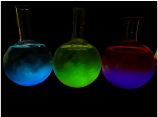 Abbildung 6: Das Bild zeigt die Fluoreszenz von 1. Luminol 2. Luminol mit Fluorescein 3