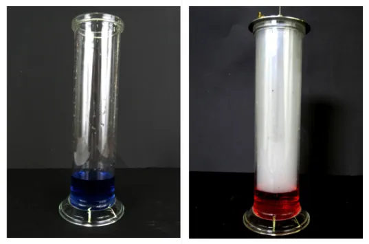 Abbildung 1: Indikator Thymolblau vor (links) und nach (rechts) der Reaktion