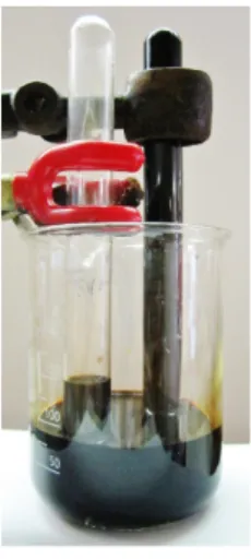 Abb. 1 – Versuchsaufbau zur Sauerstoffgehaltsbestimmung mit alkalischer Pyrogallollösung.