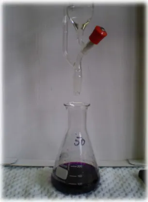 Abb. 1 - Tropfpipette mit H 2 O 2  und Erlenmeyerkolben mit KMnO 4 -Wasser-Lösung 