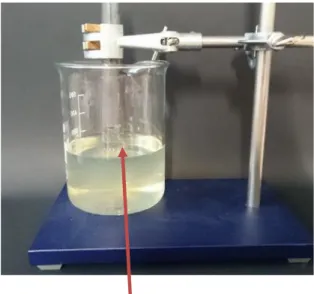 Abbildung 4 - Wasserstand im Reagenzglas mit Essig- Essig-Essenz nach 20 Minuten.