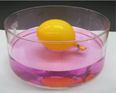 Abbildung  1:   Violettfärbung   der   Phenolphthaleinlösung   bei Reaktion mit Ammoniak-Gas.
