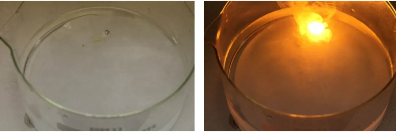 Abbildung 1: Beobachtung der Zugabe von Natrium in Wasser mit Filterpapier.