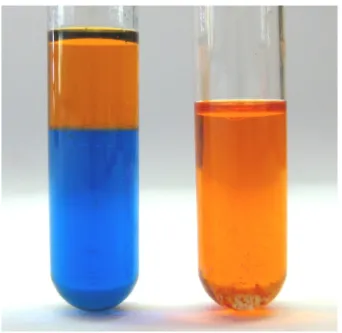 Abb. 6 -  Löslichkeit von Petroleumbenzin in Wasser (links) und Öl (rechts) angefärbt mit Sudanrot und Methylenblau.
