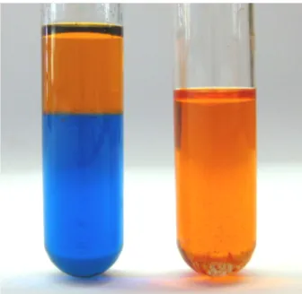 Abb. 6 -  Löslichkeit von Petroleumbenzin in Wasser (links) und Öl (rechts) angefärbt mit Sudanrot und Methylenblau