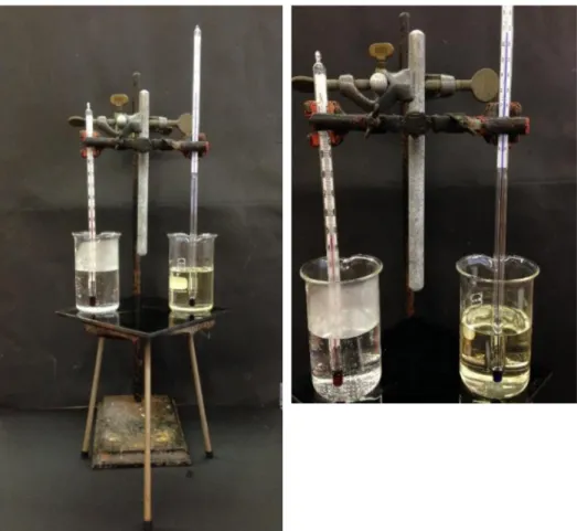 Abb. 1 – Versuchsaufbau, Temperatur im wassergefüllten Bechergals 50 °C (links) und im mit Speiseöl gefüllten Becherglas 75 °C(rechts) 
