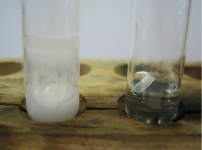 Abb. 5: Reaktion von Wasser mit Calcium (links) und mit Magnesium (rechts).
