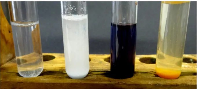Abbildung 4: Das Bild zeigt die Salzlösung sowie die positiven Nachweise von Chlorid-, Iodat- und Fluorid-Ionen