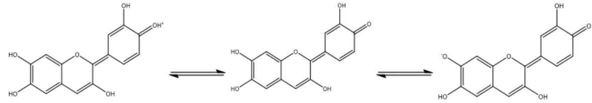 Abbildung 3: Farbstoff Cyanidin des Rotkohlsaftes. Von links nach rechts: Protonierter Zustand bei pH&lt;3,  hier ist eine rote Färbung zu erkennen