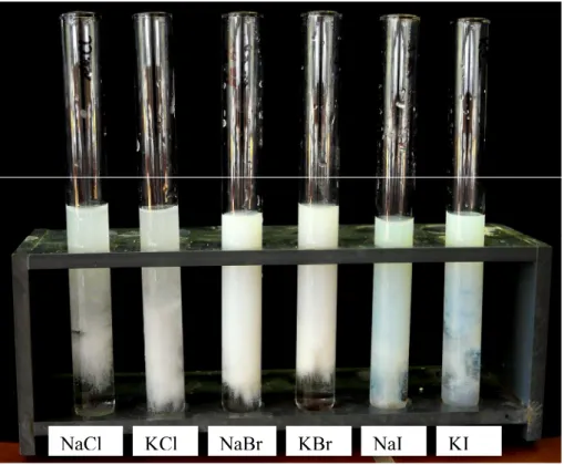 Abb. 1 -  Foto der Nachweisreaktion mit Natrium- und Kaliumhalogeniden