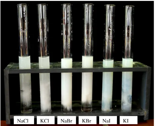 Abb. 1 -  Foto der Nachweisreaktion mit Natrium- und Kaliumhalogeniden 