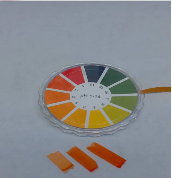 Abb. 1 -  Links: pH-Papier im Eisessig, Mitte und Rechts: pH-Papier nach einigen Tropfen  Wasser