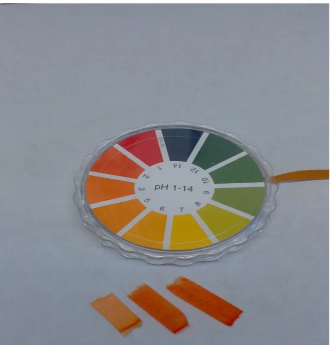 Abb. 1 -  Links: pH-Papier im Eisessig, Mitte und Rechts: pH-Papier nach einigen Tropfen Wasser.