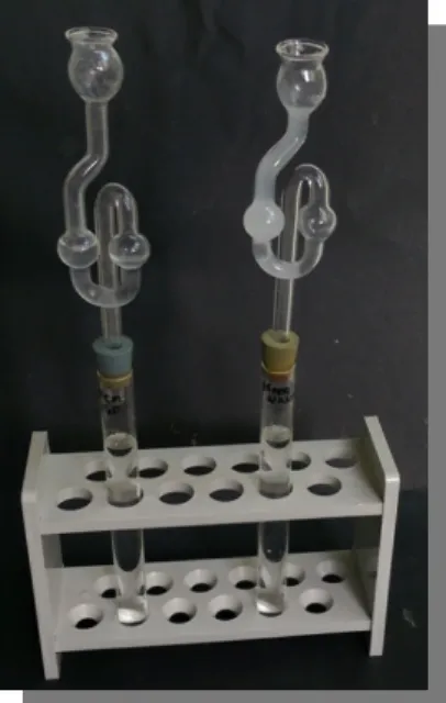 Abbildung 1: Das demin. Wasser mit dem Gärröhrchen mit Calciumhydroxid-Lösung (links) und das Reagenzglas mit Mineralwasser und einer getrübten Calciumhydroxid-Lösung (rechts).