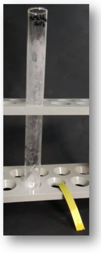 Abbildung 2: Das Reagenzglas mit Hirschhornsalz und das dazugehörige Indikatorpapier. 