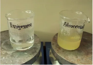 Abbildung 1 - Versuchsdurchführung: Eindampfen von Essigessenz und Zitronensaft.                